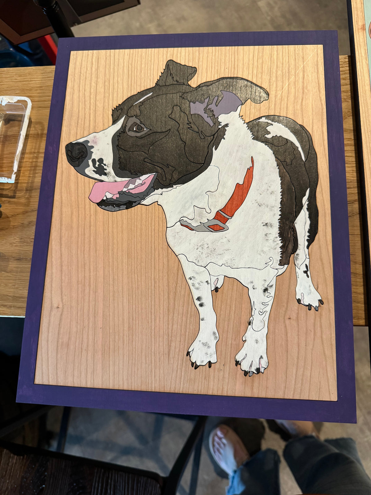 Pet Additon to Cider Lab September 27th